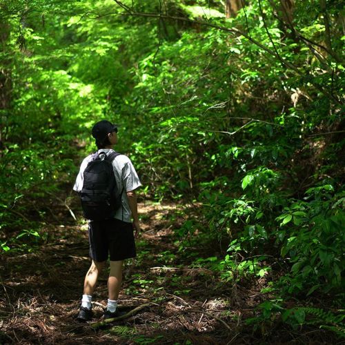 ROOT CO. / PLAY STRETCH UTILITY Shorts