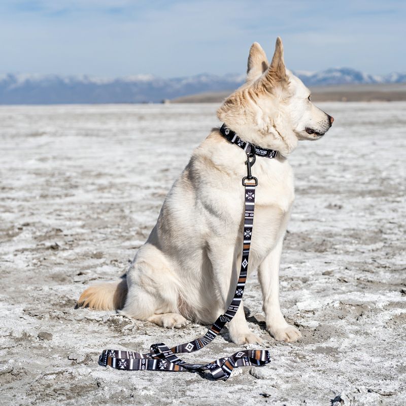 WOLF GANG / NewMoon Collar