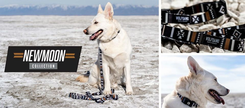 WOLF GANG / NewMoon Collar