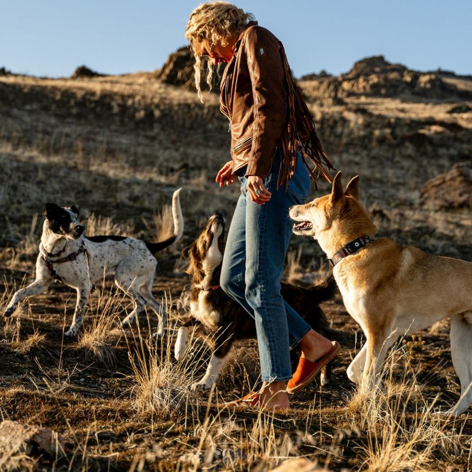 WOLF GANG / SandFlats Collar