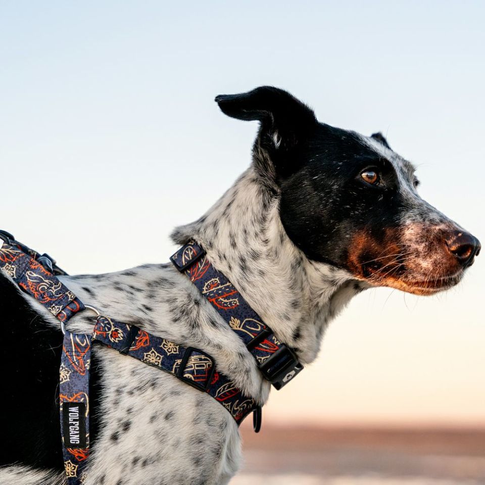 WOLF GANG / SandFlats Collar