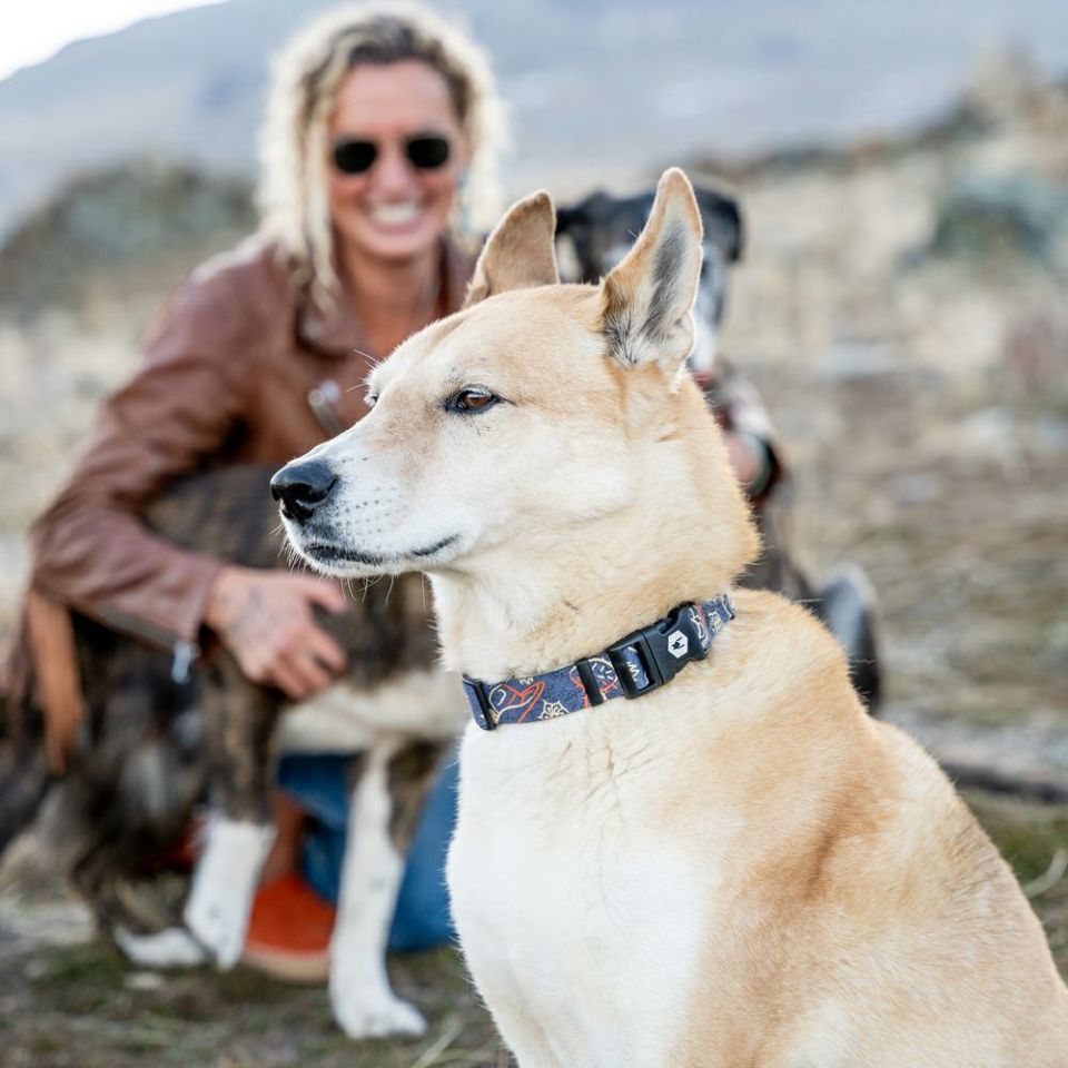 WOLF GANG / SandFlats Collar