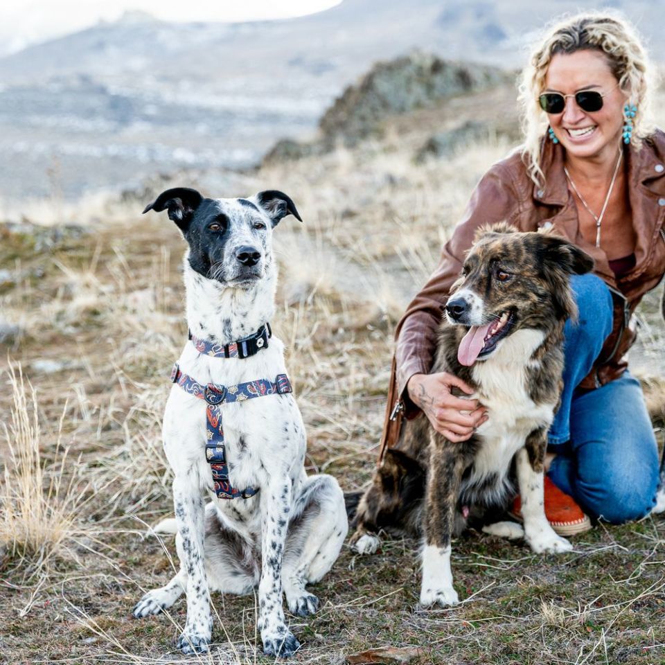 WOLF GANG / SandFlats Collar