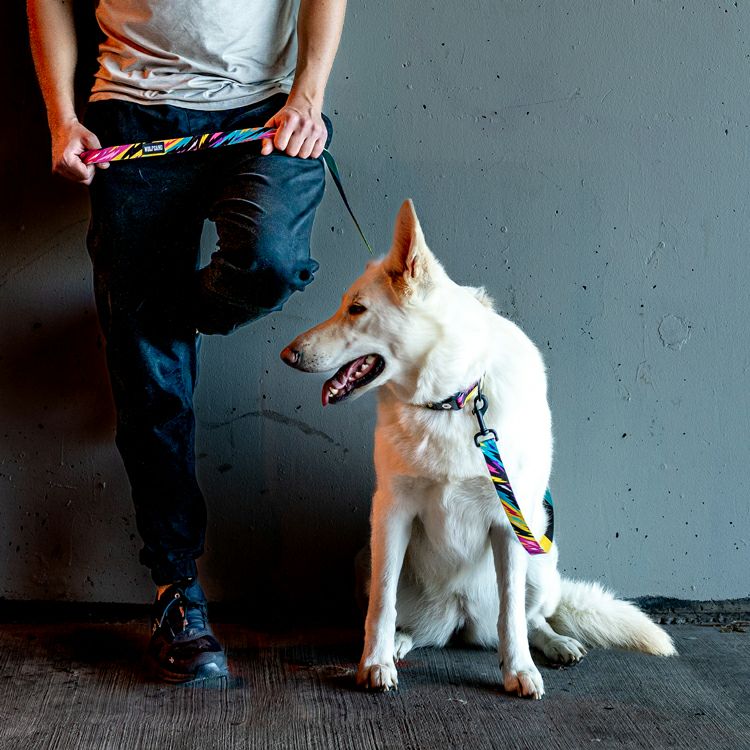 WOLF GANG / FuzzyTails Leash