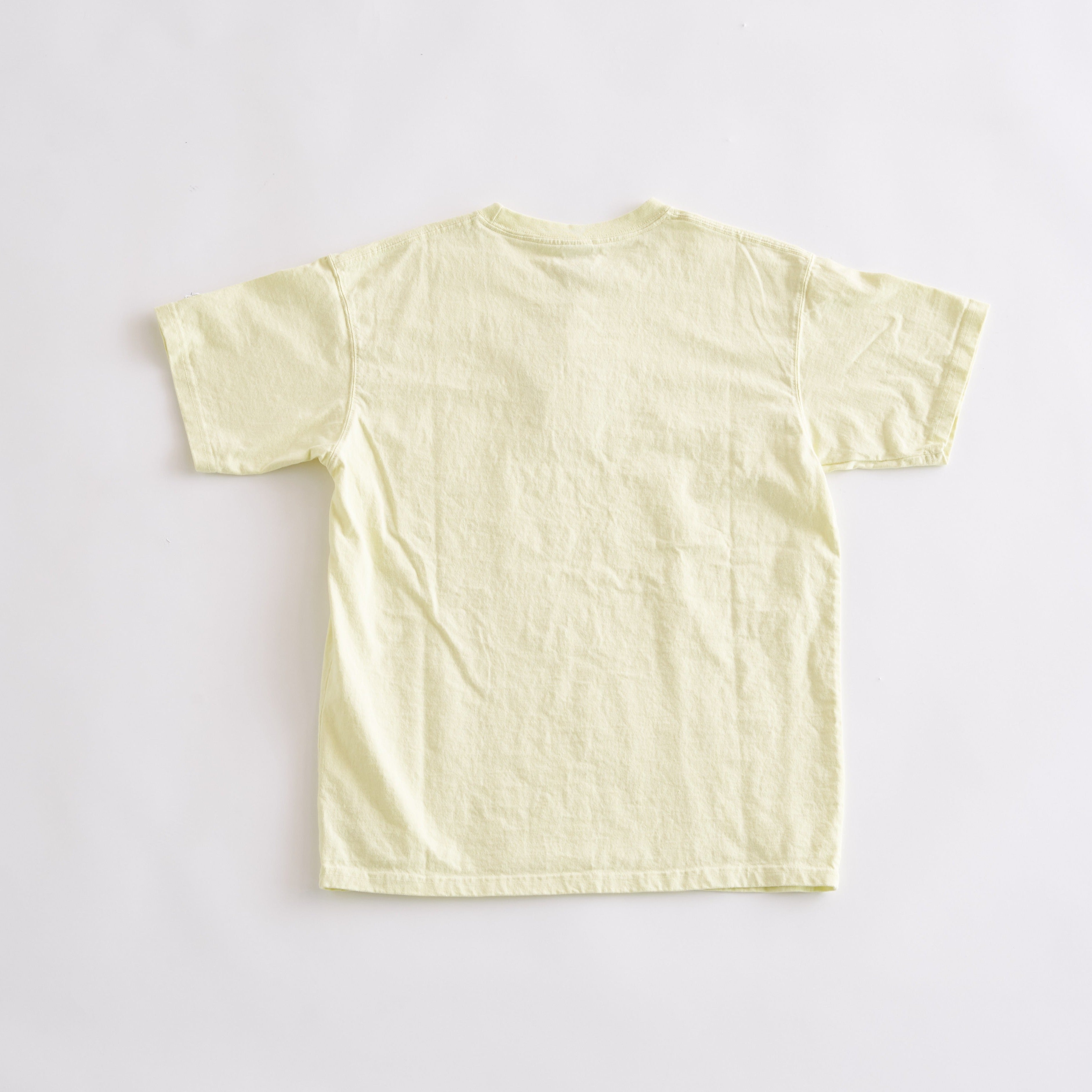 RUSSELL ATHELETIC / Germent Dyed Cotton Jersey S/S T