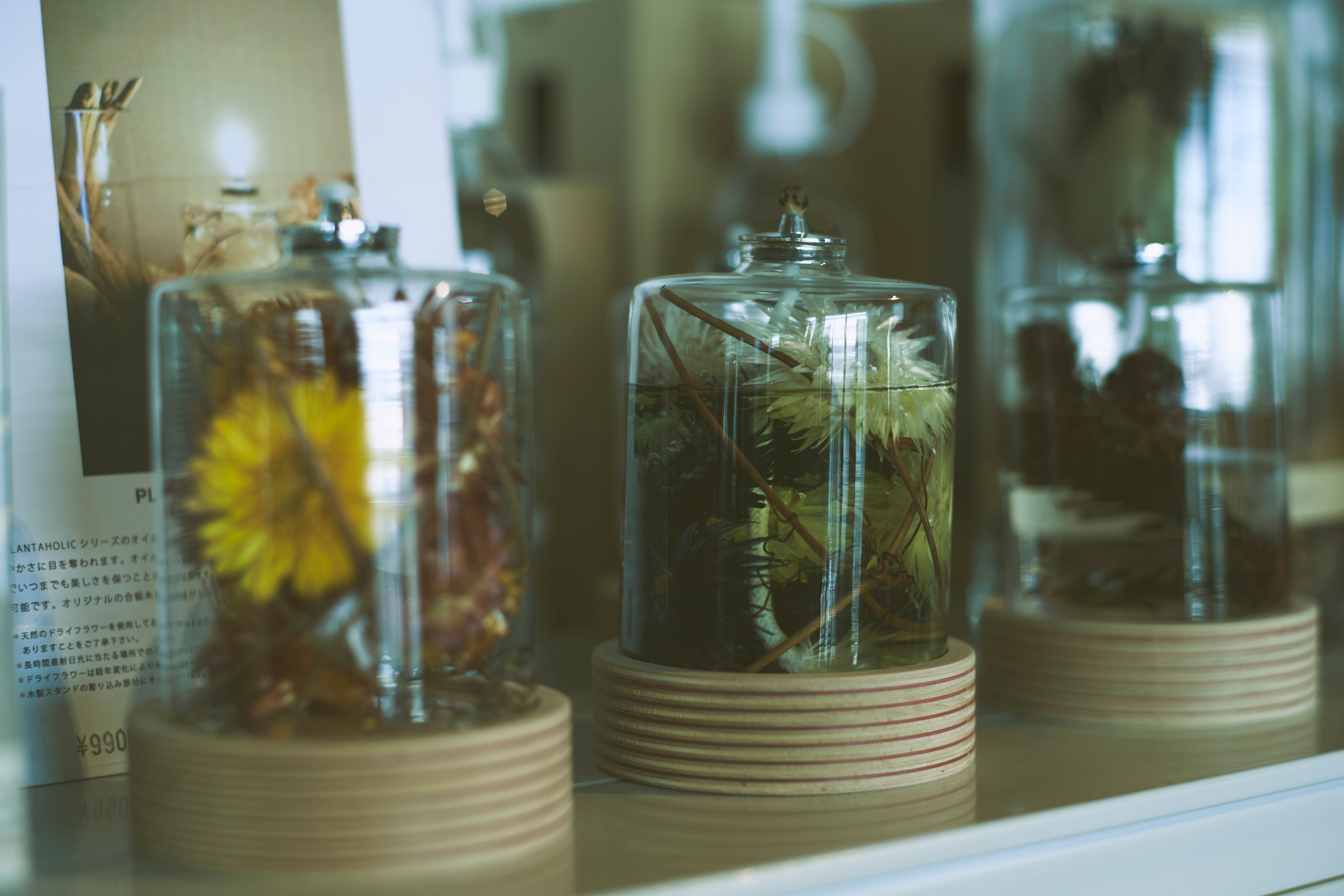 The Landscapers / PLANTAHOLIC OIL LAMP