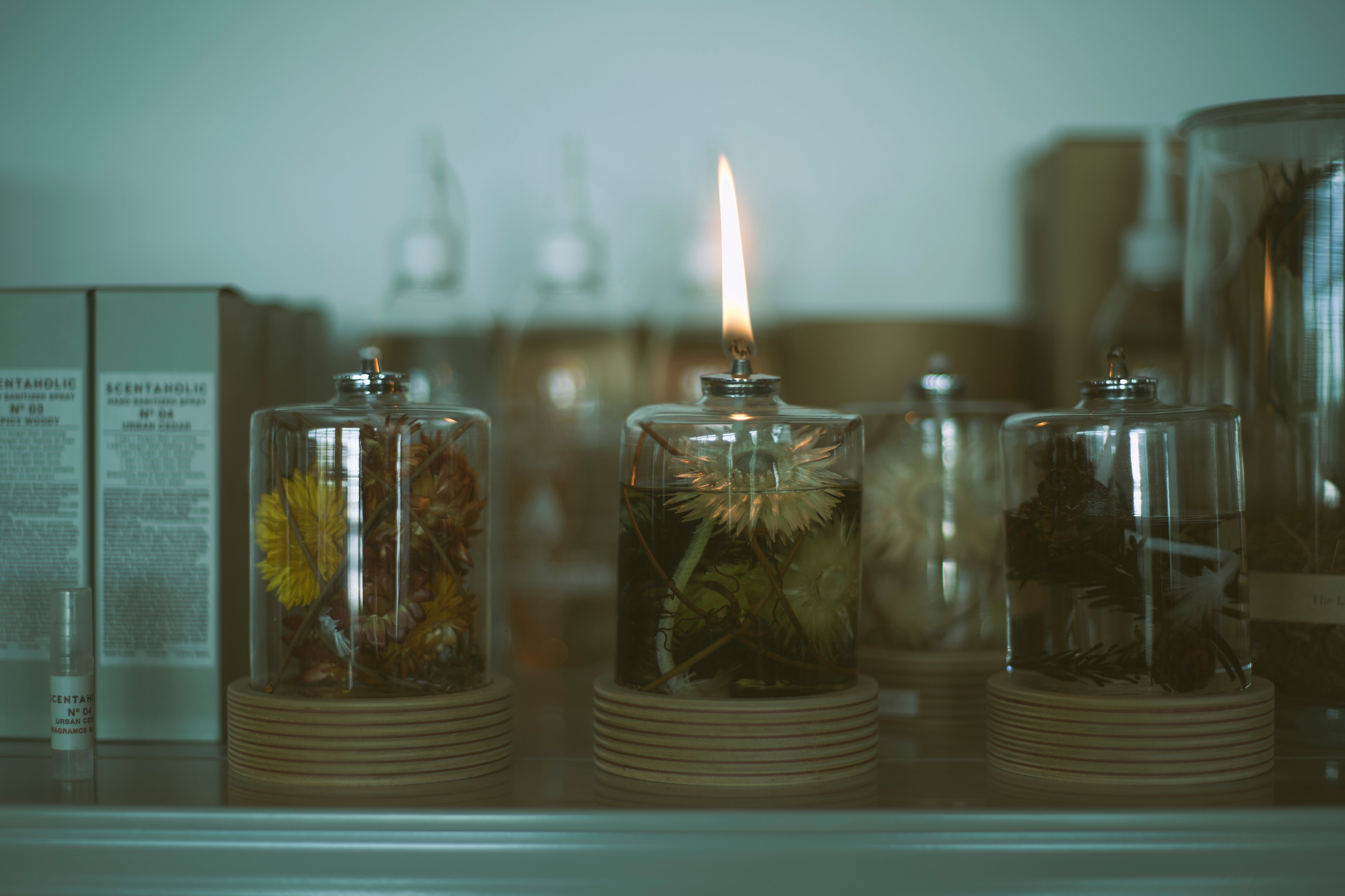 The Landscapers / PLANTAHOLIC OIL LAMP