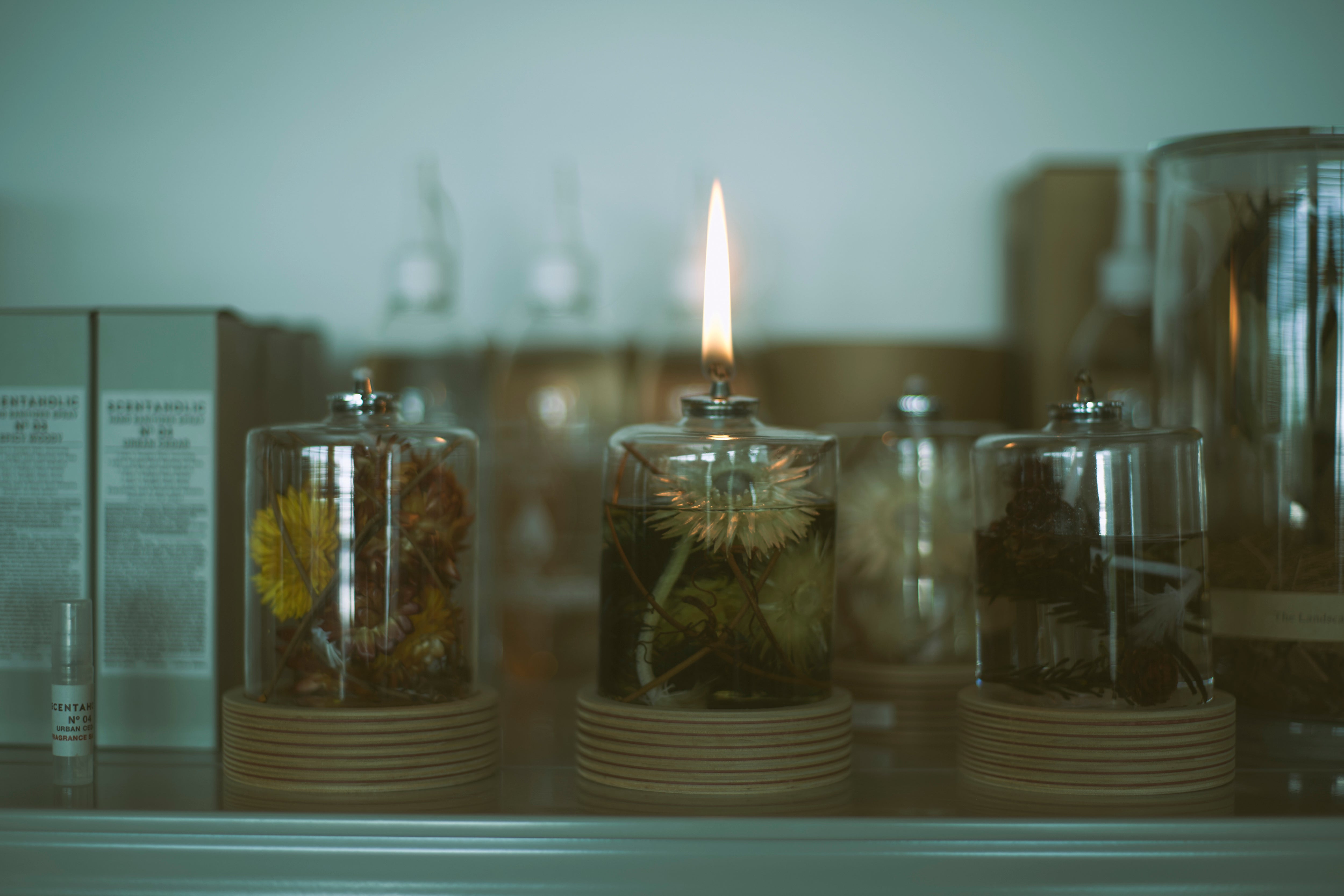 The Landscapers / PLANTAHOLIC OIL LAMP