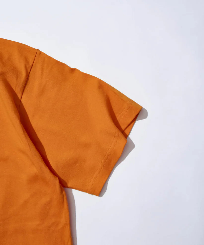 Mountain Research / Thoreau