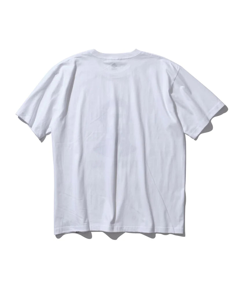 Mountain Research / Thoreau