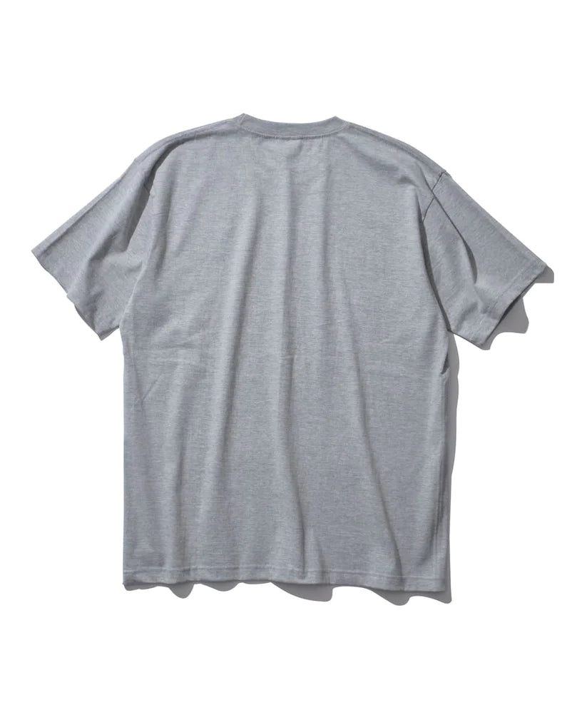 Mountain Research / Thoreau