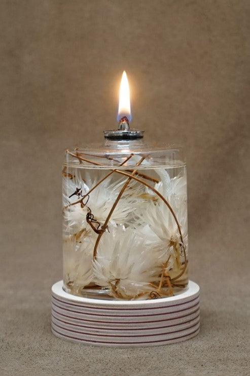 The Landscapers / PLANTAHOLIC OIL LAMP