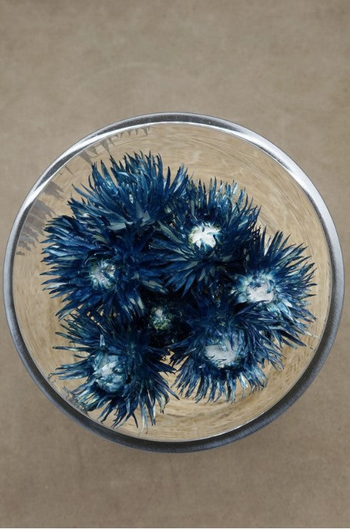 The Landscapers / DRY CYLINDER ”INDIGO DYE ” ( ガラス蓋つき)