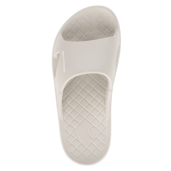 slide 2.0-Gray