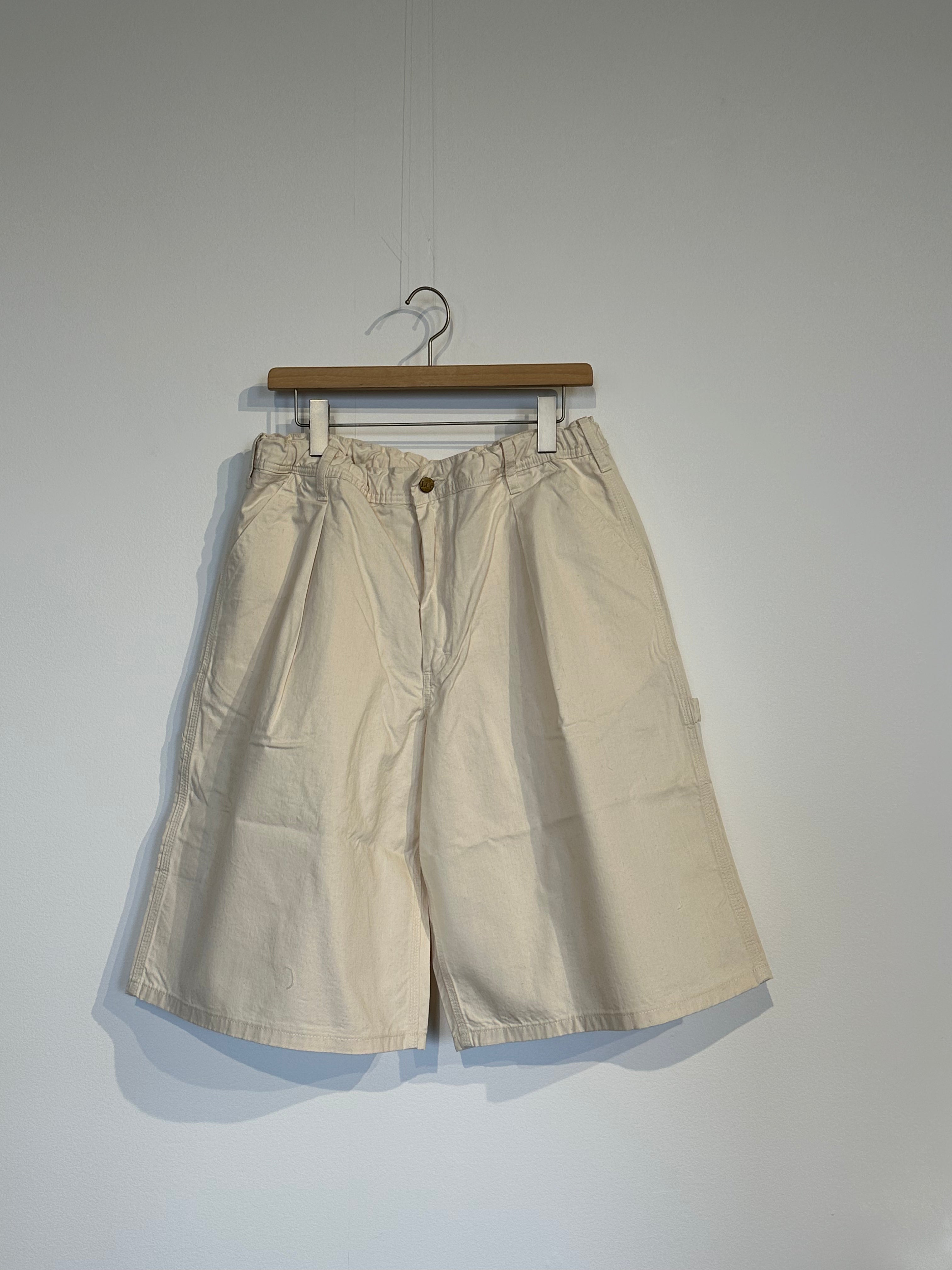 Lee / BAGGY PAINTER SHORTS