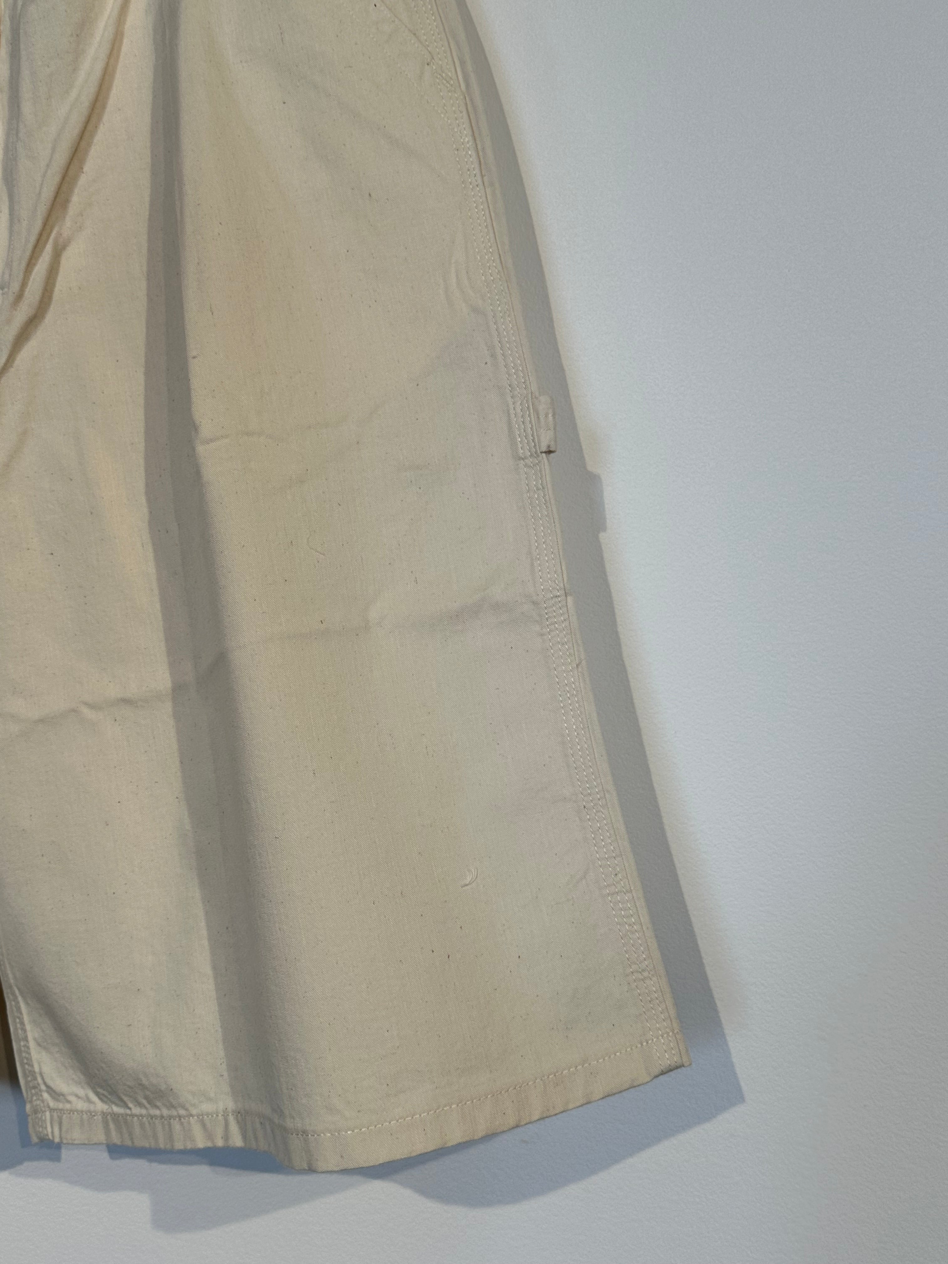 Lee / BAGGY PAINTER SHORTS