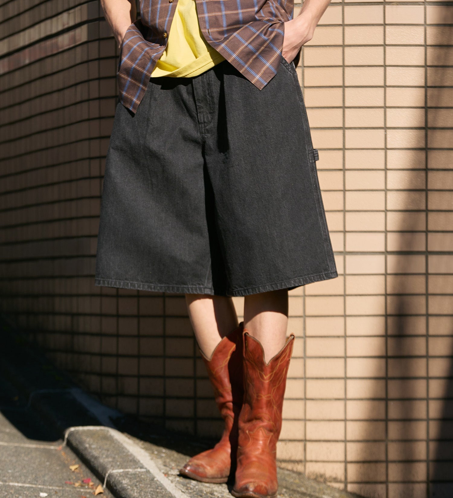 Lee / BAGGY PAINTER SHORTS