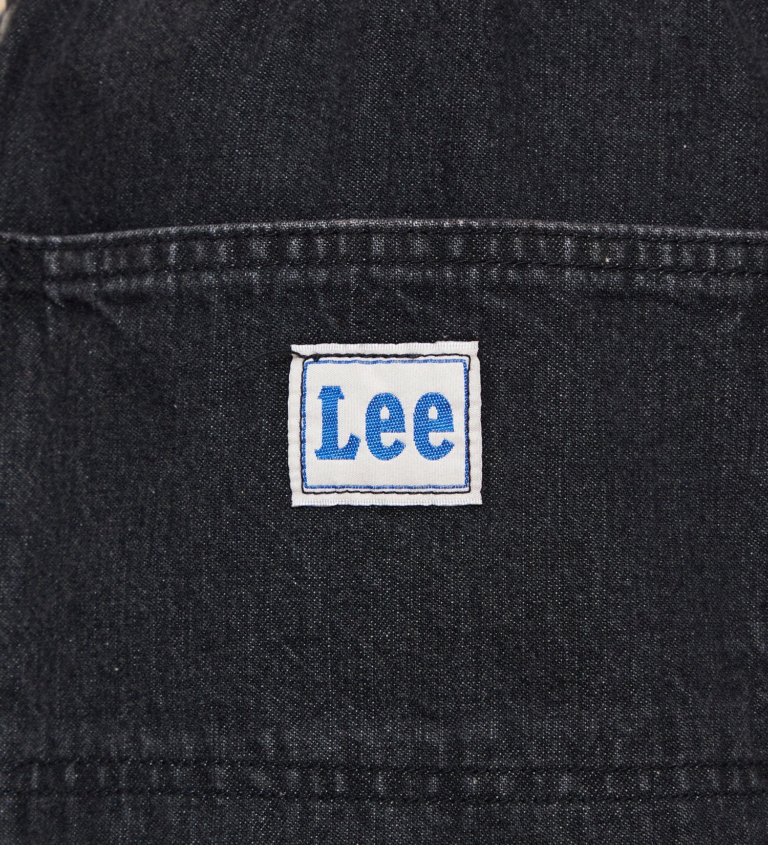 Lee / BAGGY PAINTER SHORTS