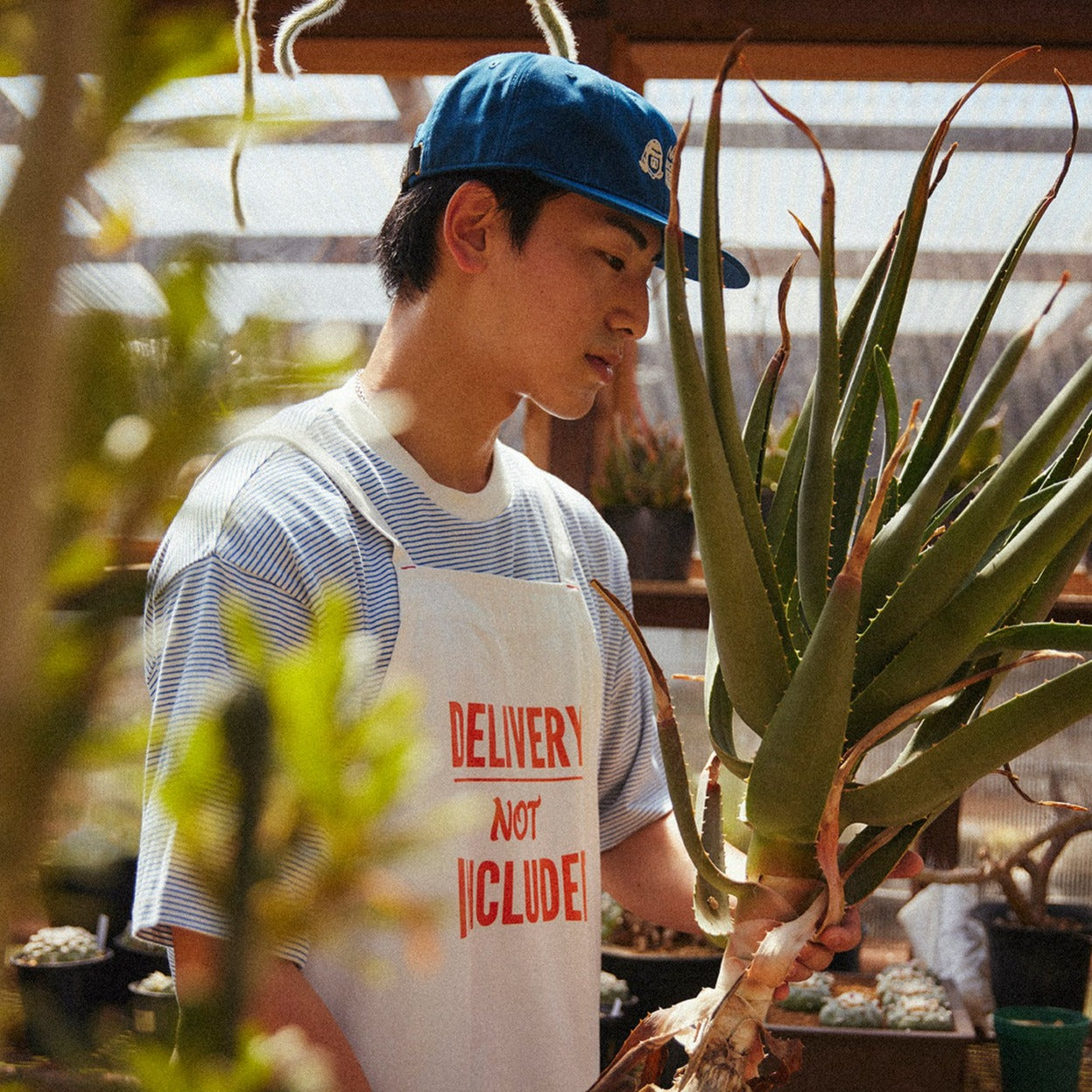 Healthknit / ナローボーダー クルーネック半袖Tシャツ