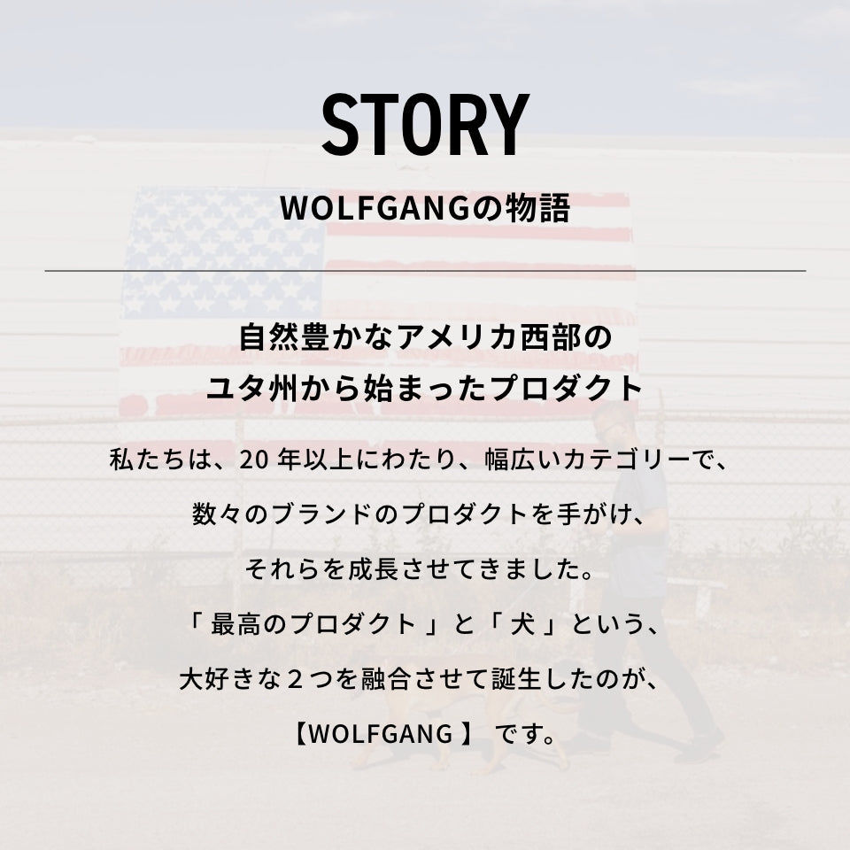 WOLF GANG / DawnPatrol Leash
