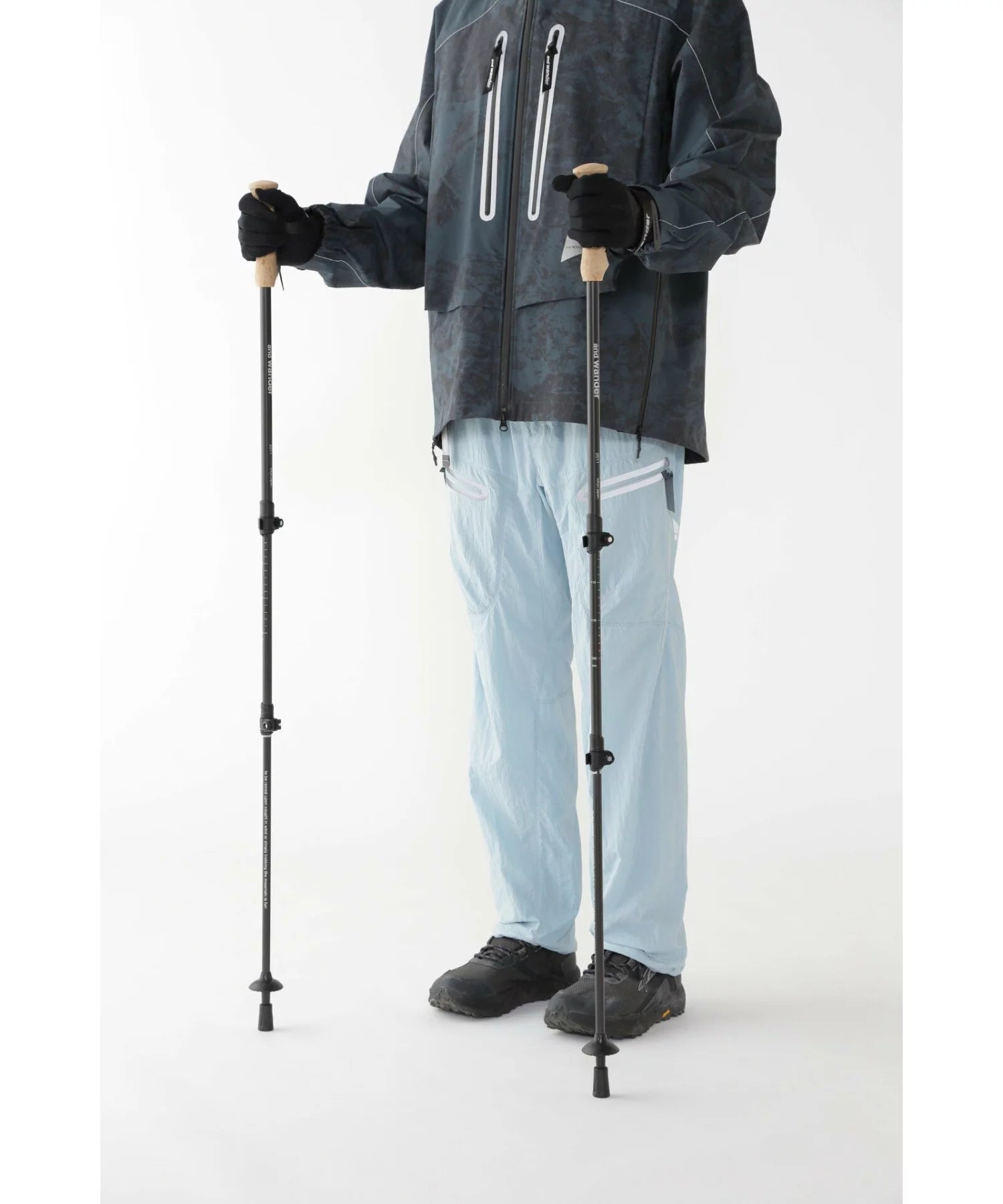 and wander / carbon trekking pole