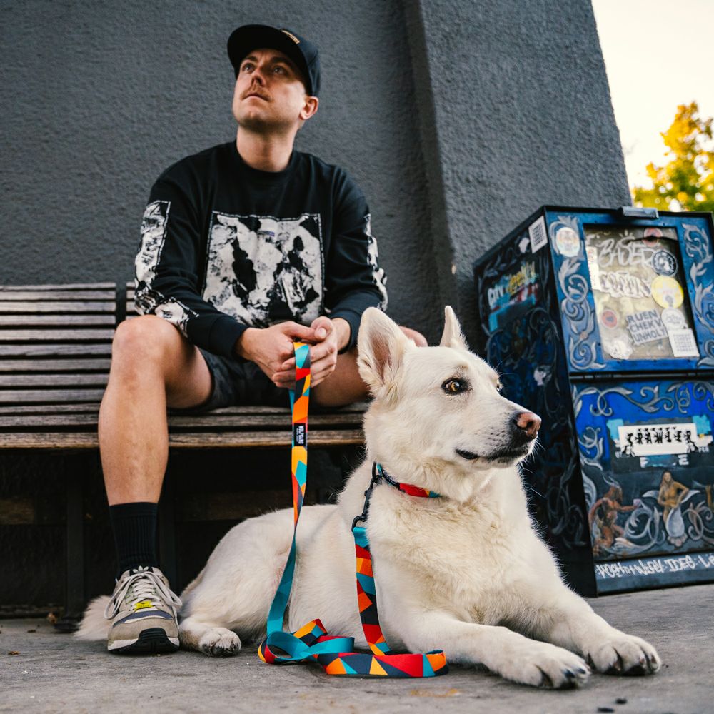 WOLF GANG / ShatterShapes Leash