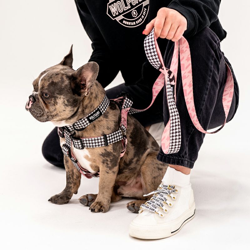 WOLF GANG / HoundsPink Harness