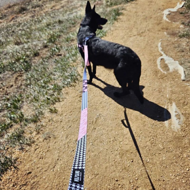 WOLF GANG / HoundsPink Leash