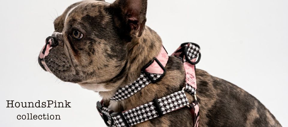 WOLF GANG / HoundsPink Harness