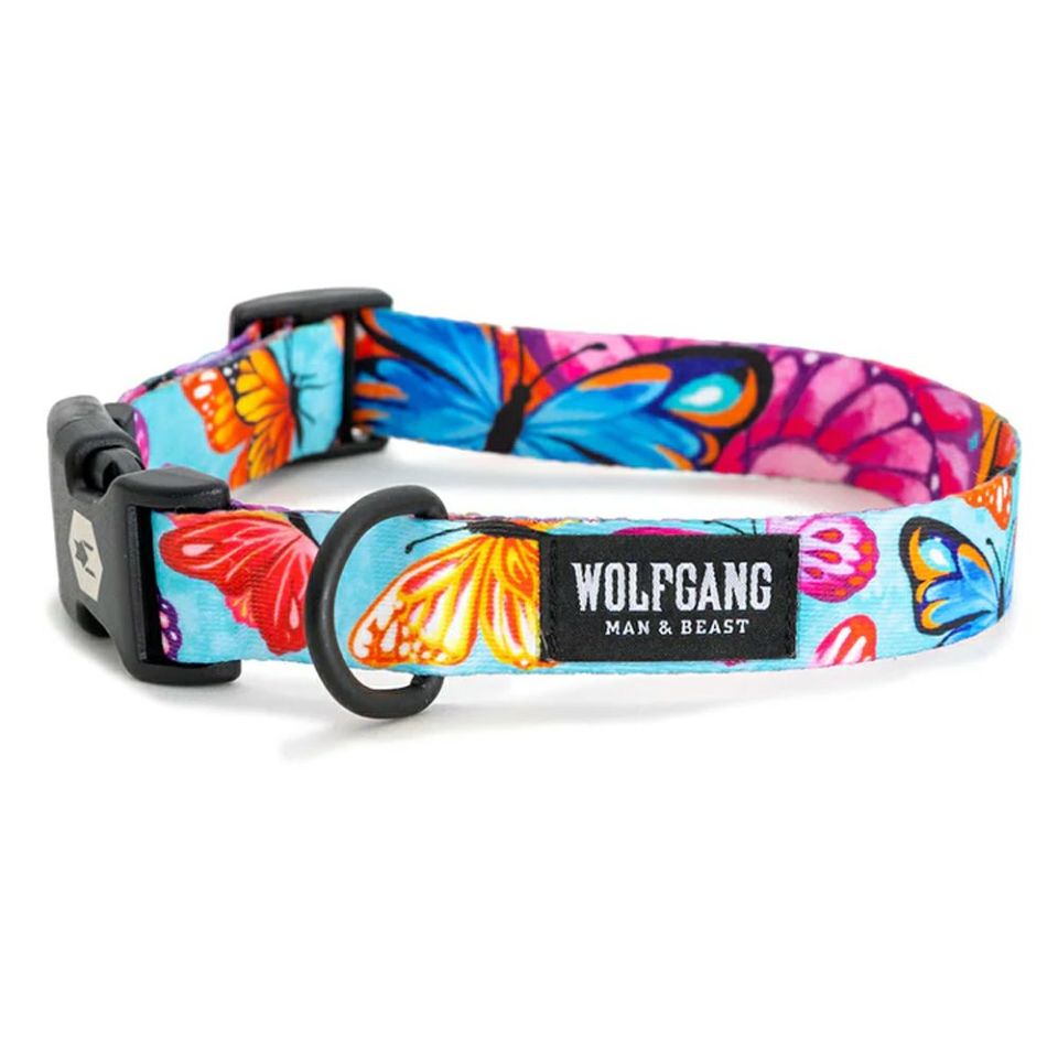 WOLF GANG / FlutterColor Collar