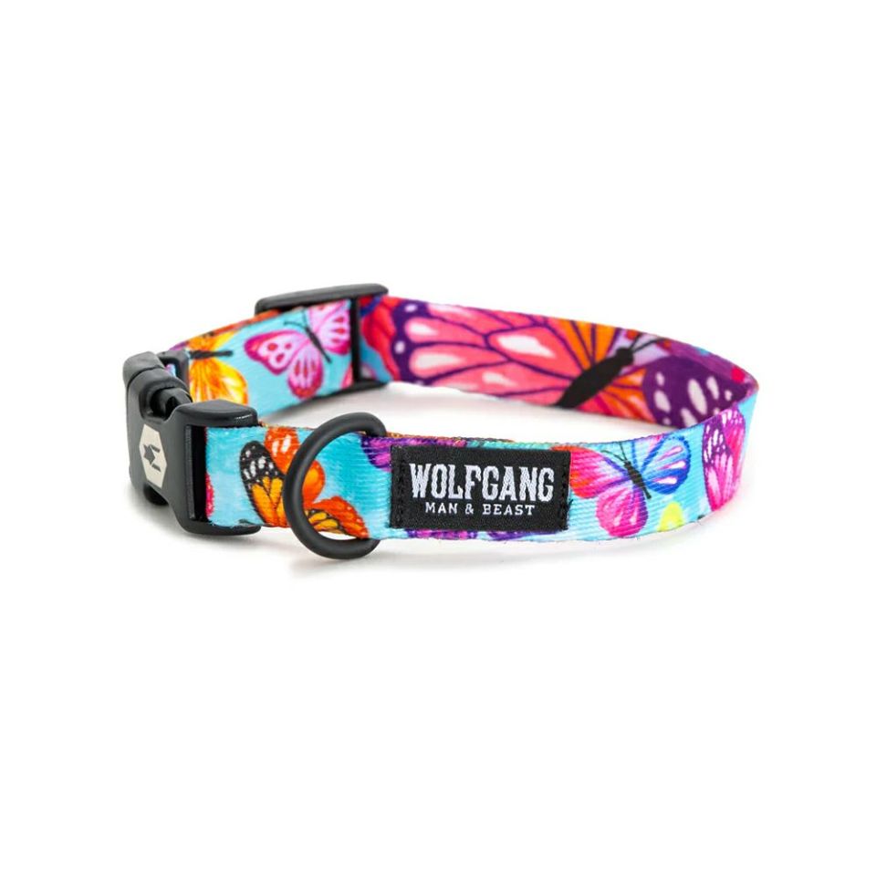 WOLF GANG / FlutterColor Collar