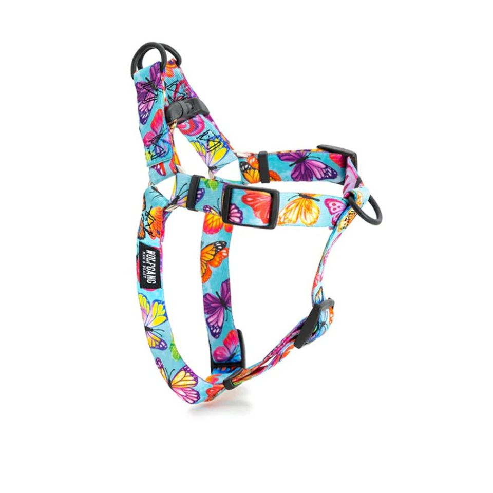 WOLF GANG / FlutterColor Harness