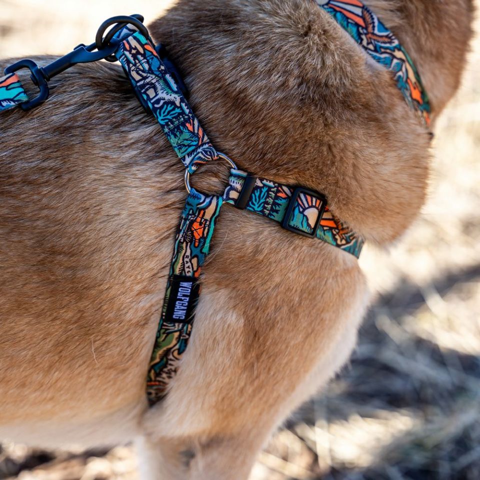 WOLF GANG / WildWolf Harness