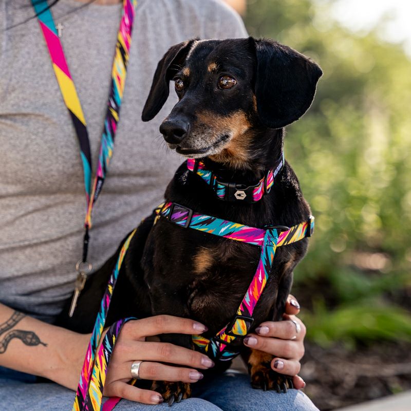 WOLF GANG / FuzzyTails Harness