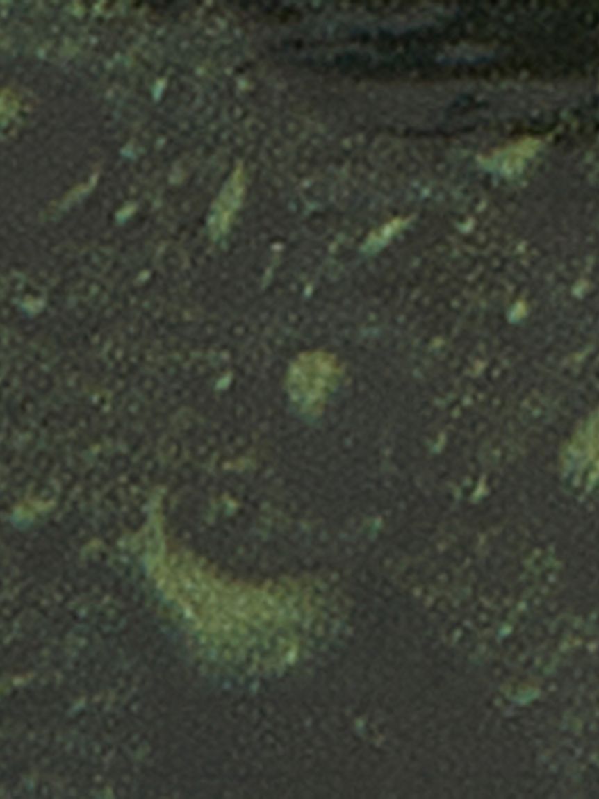 Barbour / thornproof dressing ソーンプルーフドレッシング