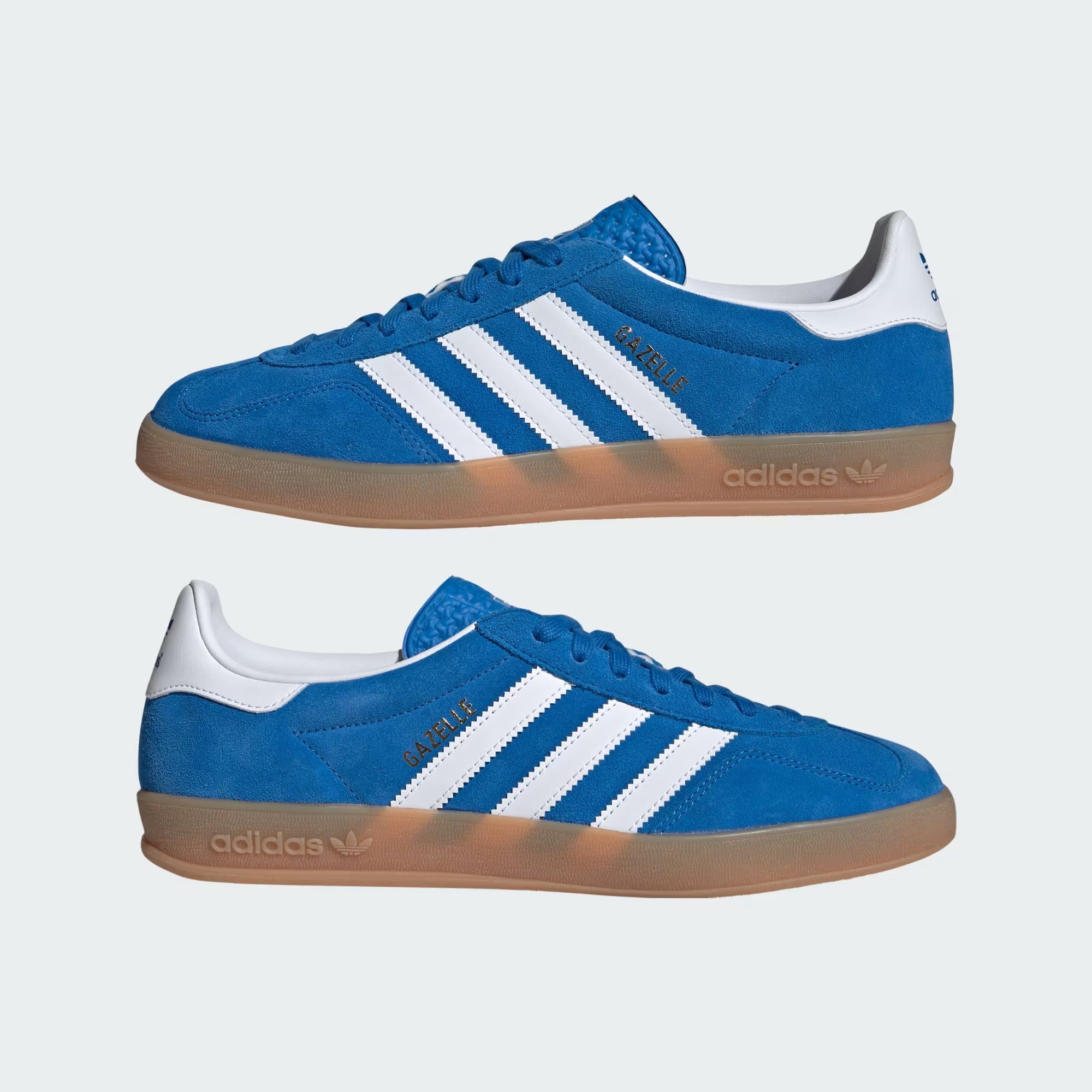 adidas / GAZELLE INDOOR