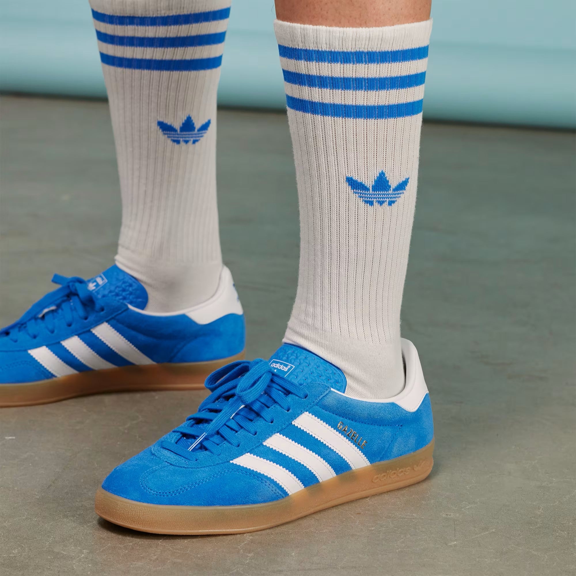 adidas / GAZELLE INDOOR