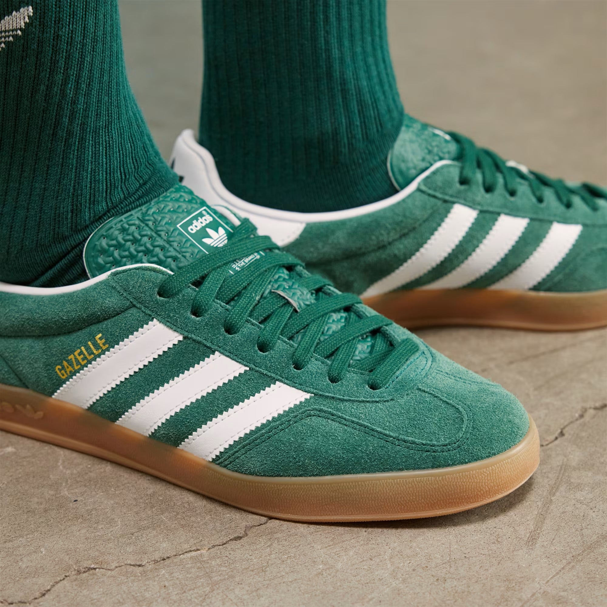 adidas / GAZELLE INDOOR