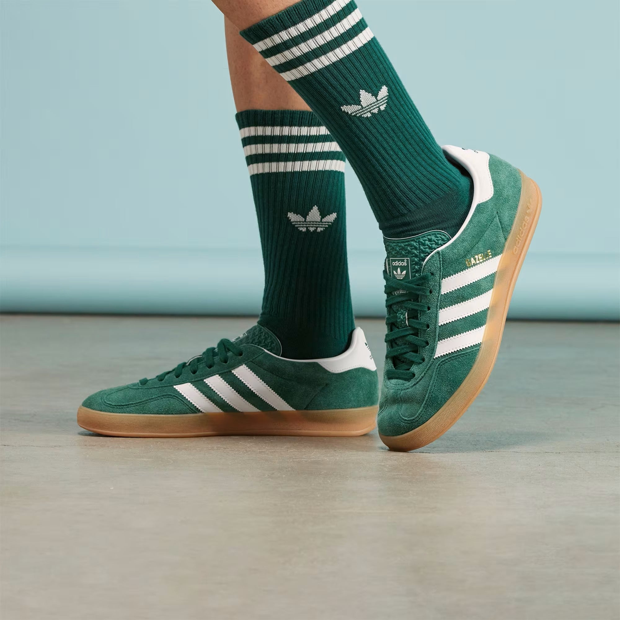 adidas / GAZELLE INDOOR