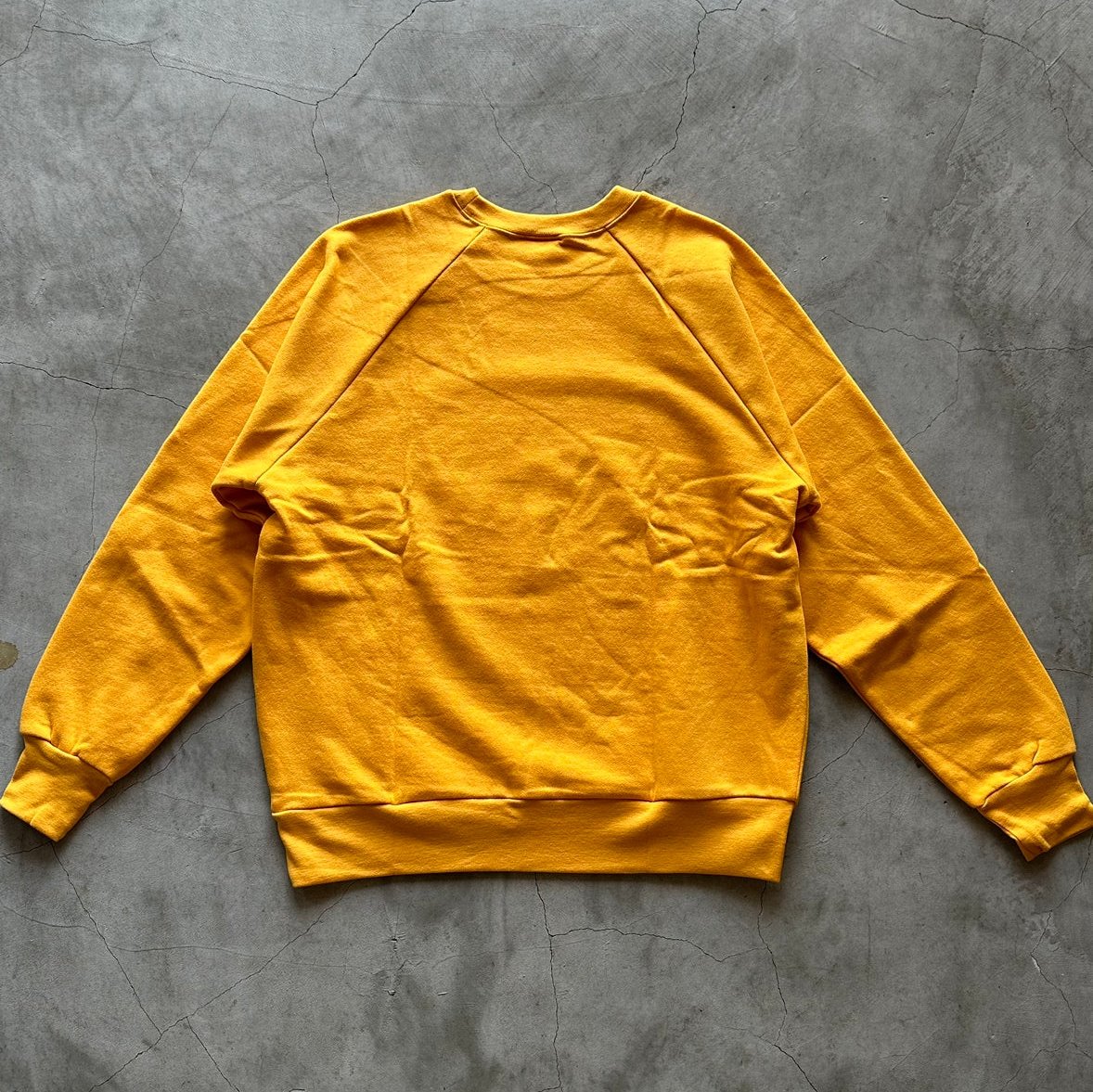 Healthknit / Classic sweat crew L/S Brahms print