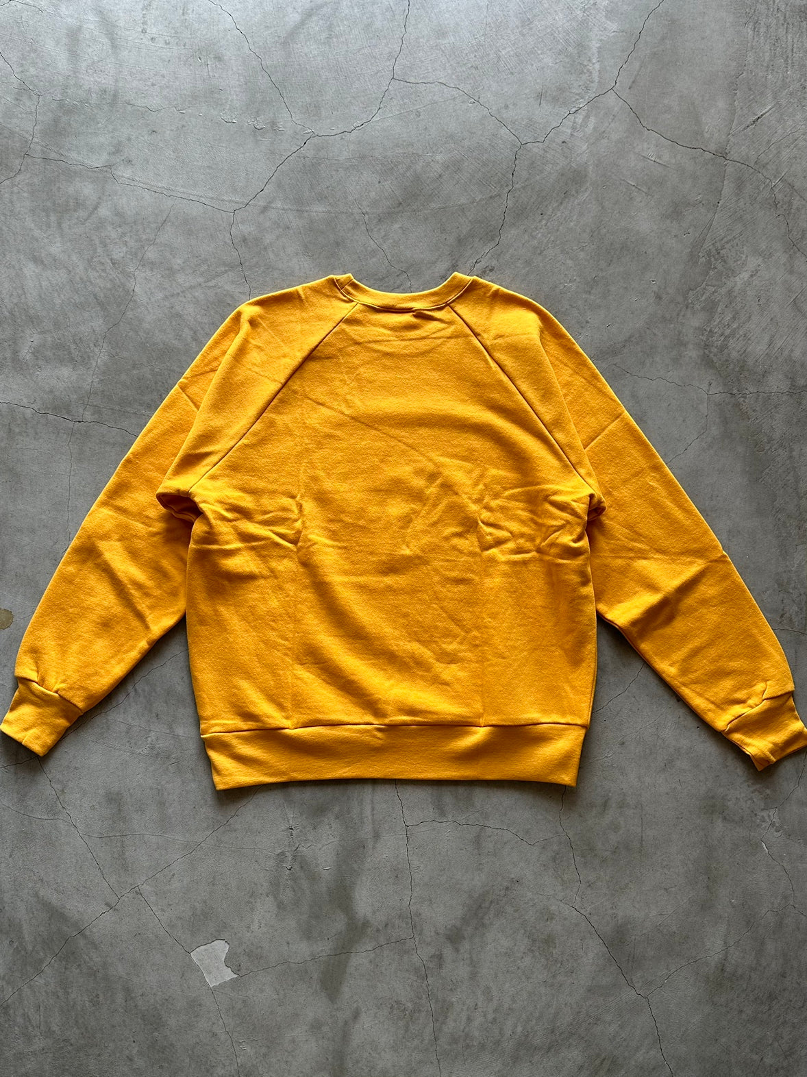 Healthknit / Classic sweat crew L/S Beethoven print