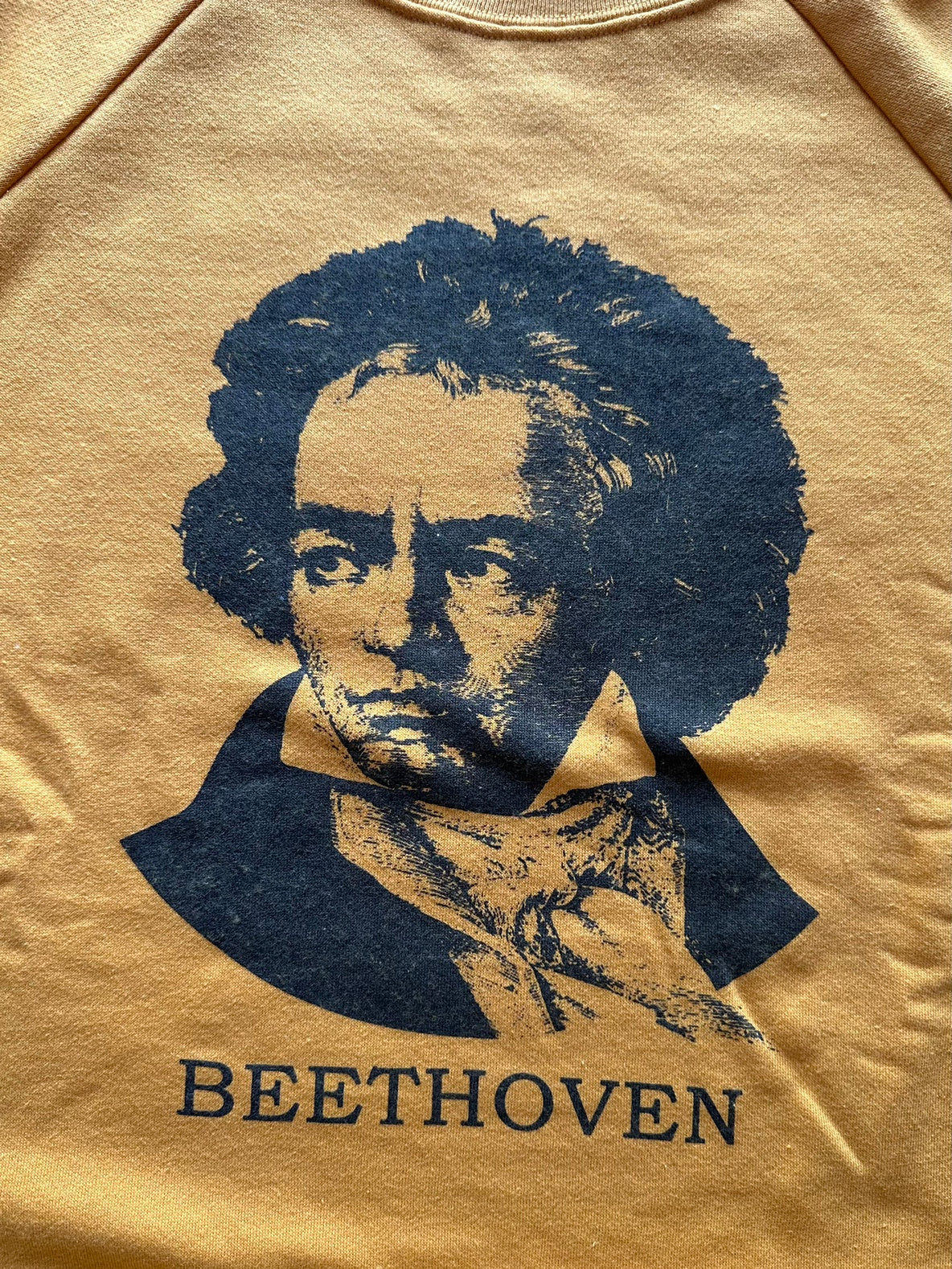 Healthknit / Classic sweat crew L/S Beethoven print