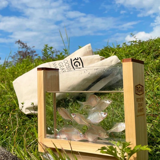 RGM / RGM 観察ケースヒノキ