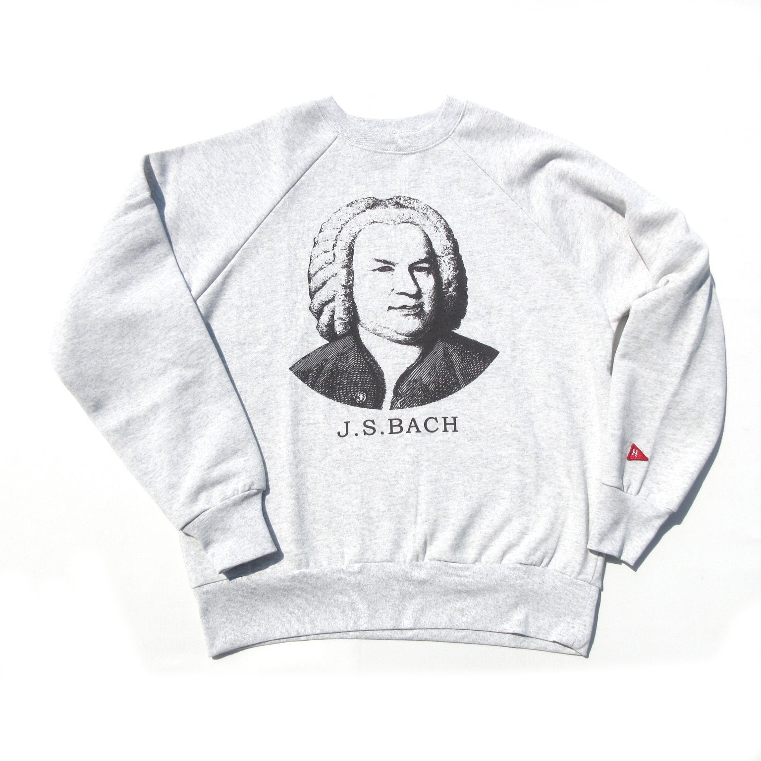 Healthknit / Classic sweat crew L/S Bach print